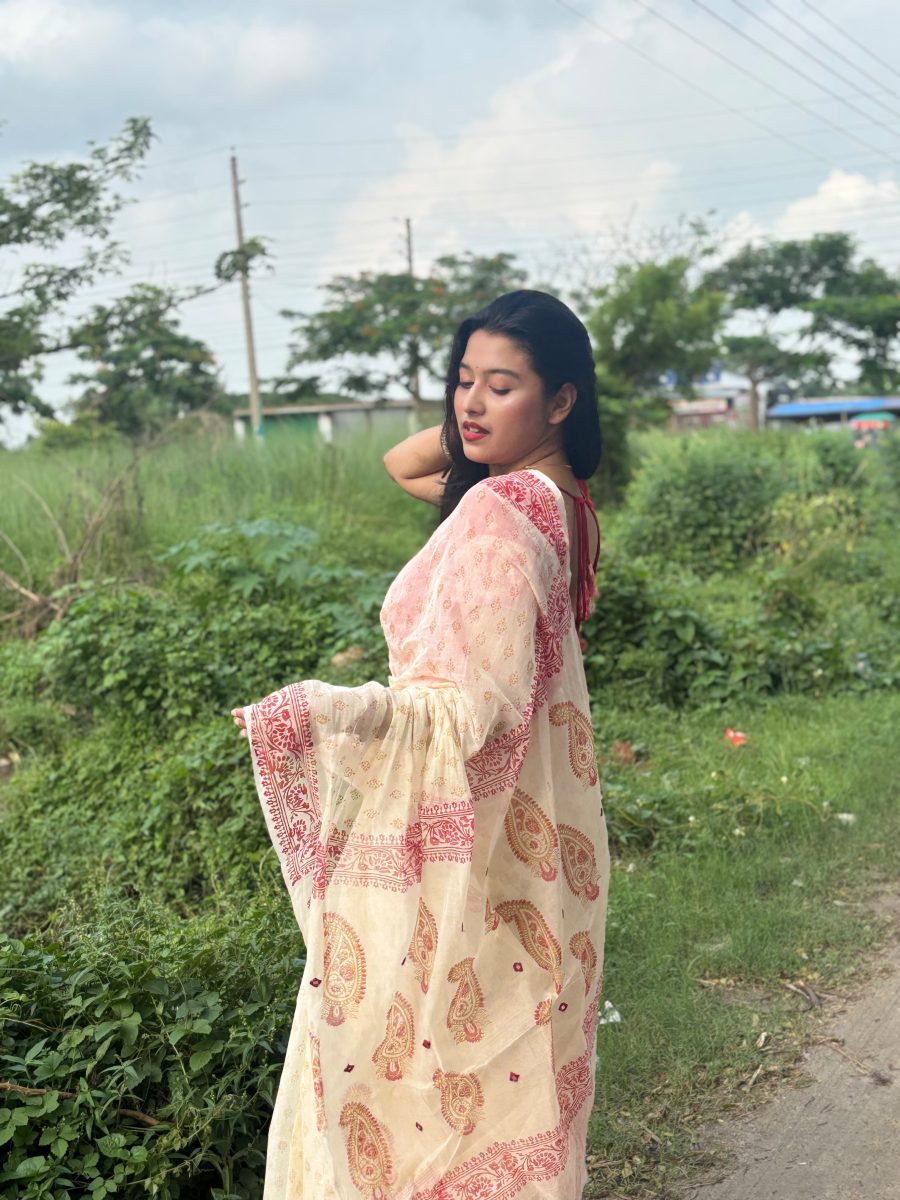 Cotton Saree  SCS- 1001